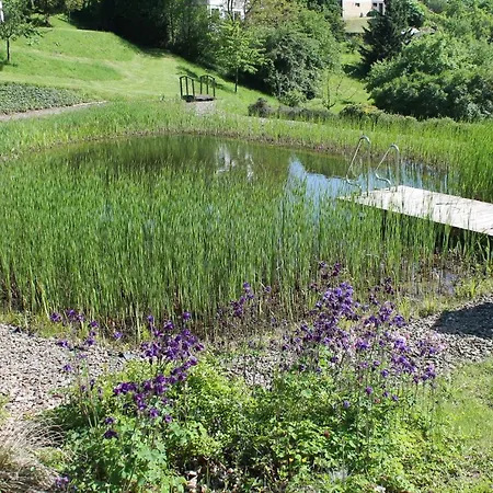 Belvedere - Bio Garni & Suitehotel Am Edersee ! Unser Geschenk Fuer Sie, Auch Gaestecard Grimmheimat! Szálloda