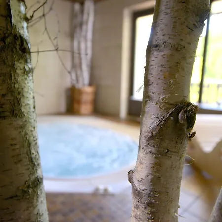 Hotel Belvedere Bio Garni & Suitehotel Am Edersee Waldeck (Hessen)