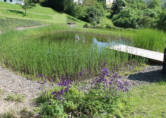 Belvedere - Bio Garni & Suitehotel Am Edersee ! Unser Geschenk Fuer Sie, Auch Gaestecard Grimmheimat! Hotel