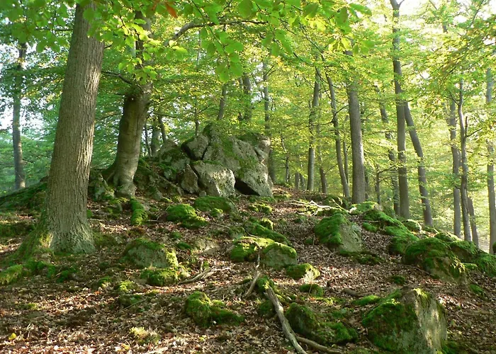 Hotel Belvedere - Bio Garni & Suitehotel Am Edersee ! Unser Geschenk Fuer Sie, Auch Gaestecard Grimmheimat! Waldeck (Hessen)