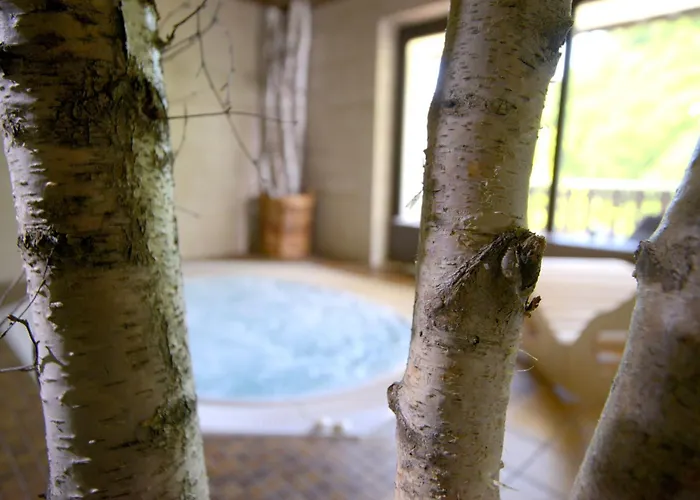 Hotel Belvedere - Bio Garni & Suitehotel Am Edersee ! Unser Geschenk Fuer Sie, Auch Gaestecard Grimmheimat! Waldeck (Hessen)